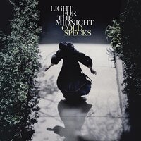 Light For The Midnight [LP]
