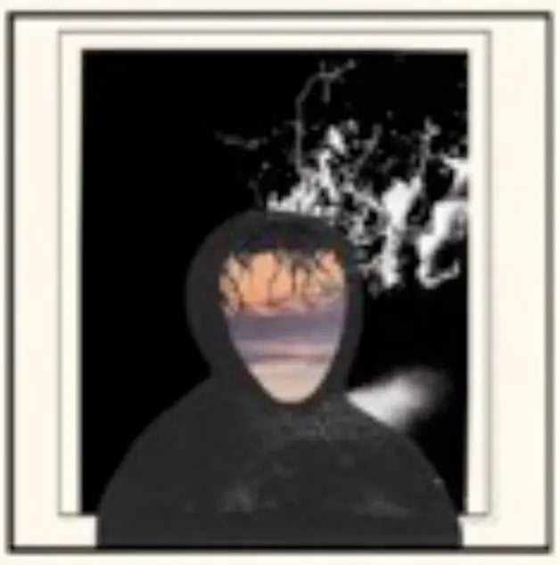 All Portrait No Chorus [Vinyl]