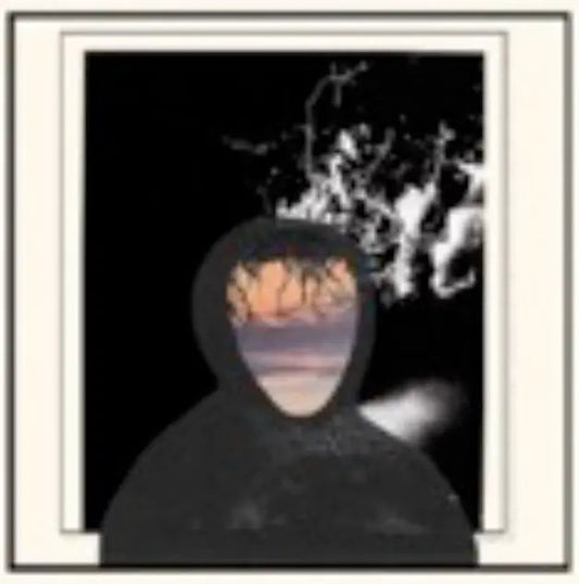 All Portrait No Chorus [Vinyl]