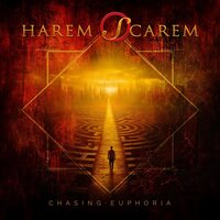 Chasing Euphoria [LP]