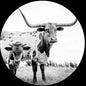 West Texas Blues [LP]