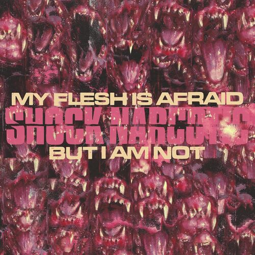 My Flesh Is Afraid But I Am Not [LP]