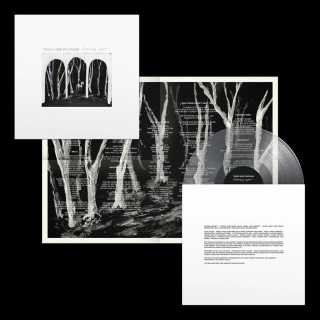 Crooked Wing [Clear LP Includes Newsprint Poster]