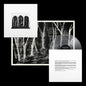 Crooked Wing [Clear LP Includes Newsprint Poster]